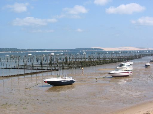bassin (huitres, dune pilat)
